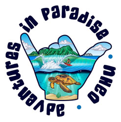 Honolulu summer camps