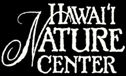 Honolulu summer camps